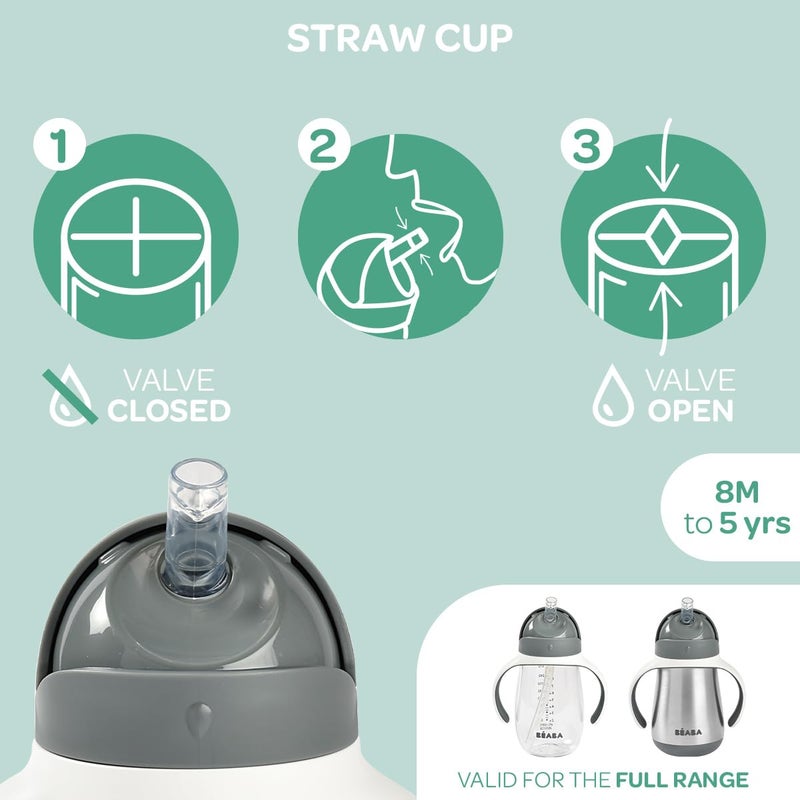 Baba BEABA Stainless Steel Straw Sippy Cup, Insulated Toddler Cups Spill Proof with Removable Handles, Made with High Grade Stainless Steel, 8+ months, 8.5 oz, Rose - Image 5